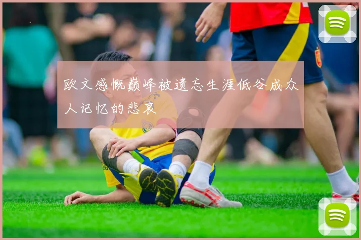 欧文感慨巅峰被遗忘生涯低谷成众人记忆的悲哀