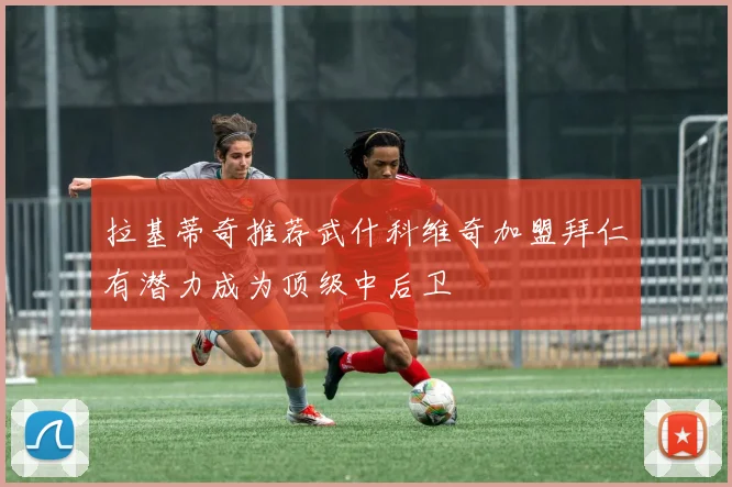 拉基蒂奇推荐武什科维奇加盟拜仁有潜力成为顶级中后卫