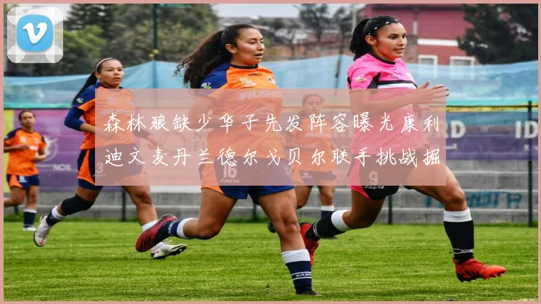 森林狼缺少华子先发阵容曝光康利迪文麦丹兰德尔戈贝尔联手挑战掘金